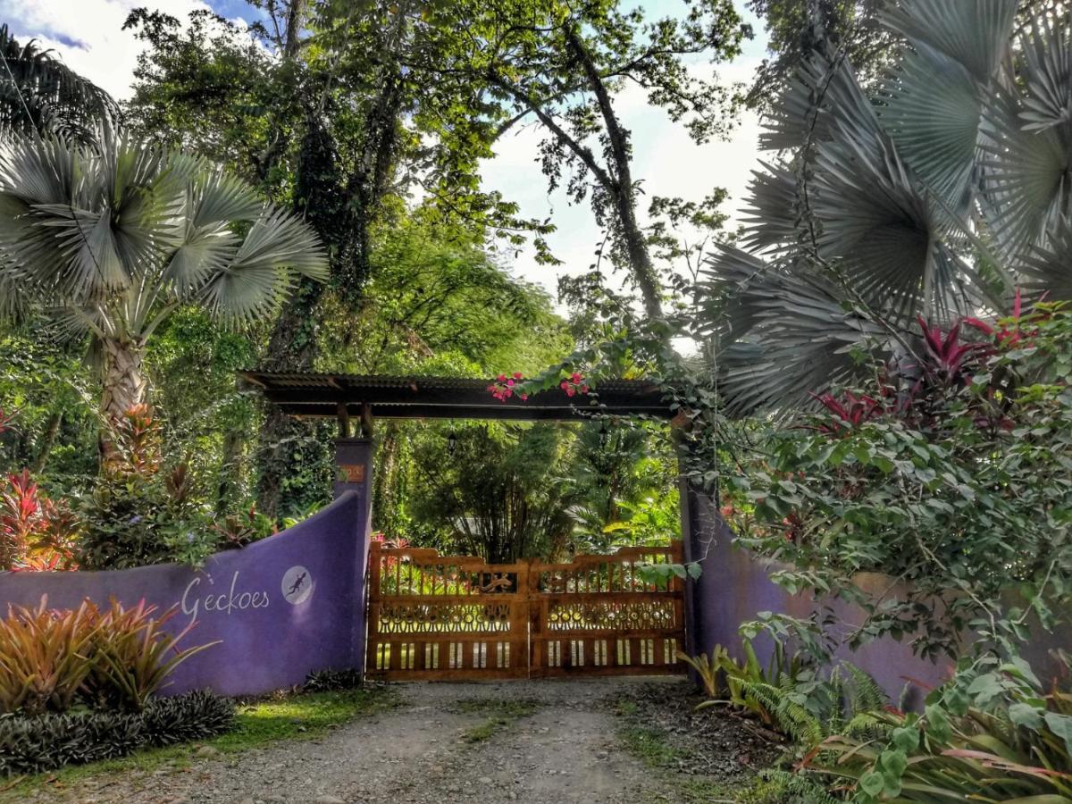 Geckoes Lodge Cocles Exterior photo